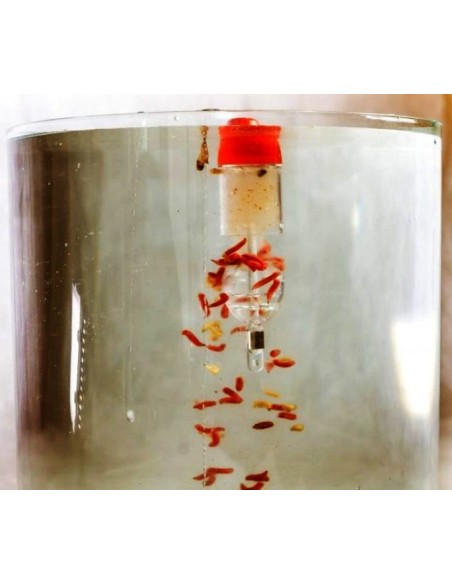 FLOTEUR SODAFLOAT PEEJAY  FEEDER