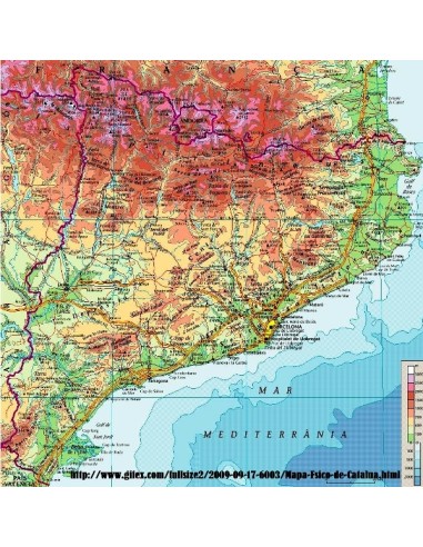 LLICÈNCIA PER A LA PESCA ESPORTIVA PER A CATALUNYA