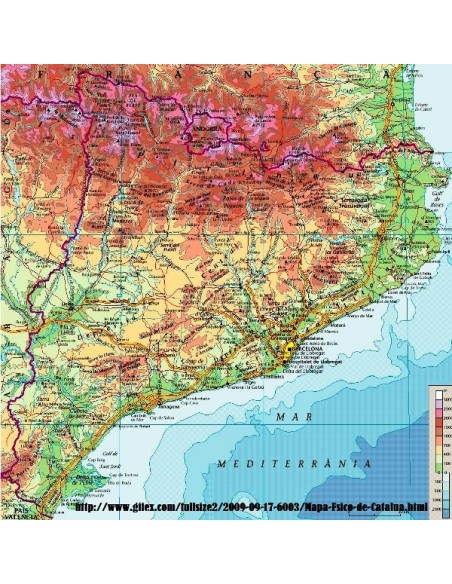 LLICÈNCIA PER A LA PESCA ESPORTIVA PER A CATALUNYA