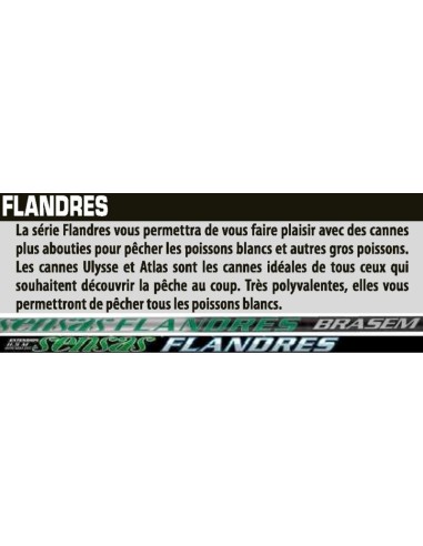 SENSAS TOP FLANDRES , KIT 5 TRAMS