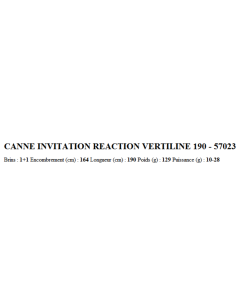 PEZON & MICHEL CANNA INVITATION REACTION VERTILINE 190 2