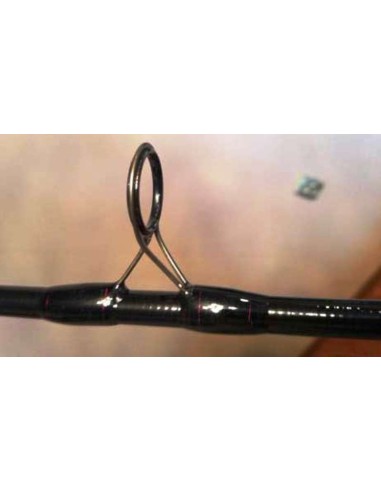 PEZON & MICHEL CANYA INVITATION REACTION VERTILINE 190