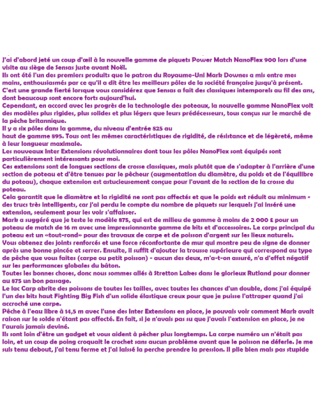 SENSAS POLE ROD UK POWER MATCH NANOFLEX 875