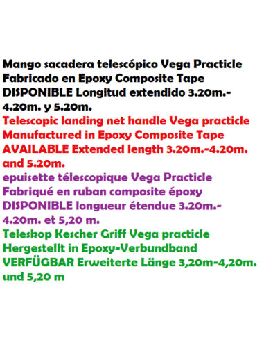 MANCHE D'EPUISETTE TELESCOPIQUE VEGA PRACTICLE
