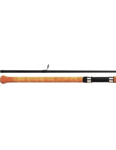 DAIWA CANNE PROCASTER POISSON MORT 2