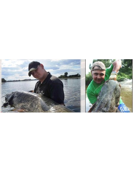 MIKADO CAÑA SILURO CAT TERRITORY ALLBAIT 305