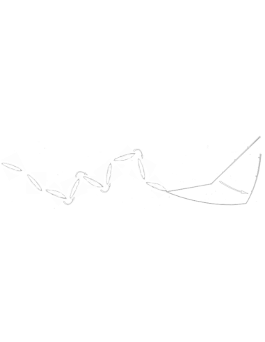 LIVETARJET LOURRE Glass Minnow Twitchbait 