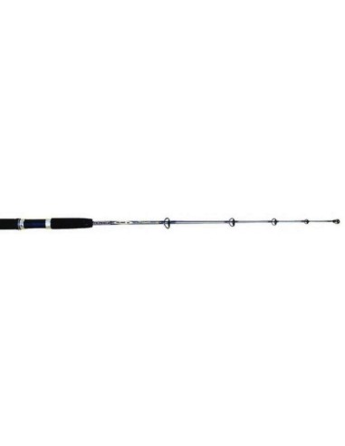 FILPESCA CANNE ACTION BOT 180 M.