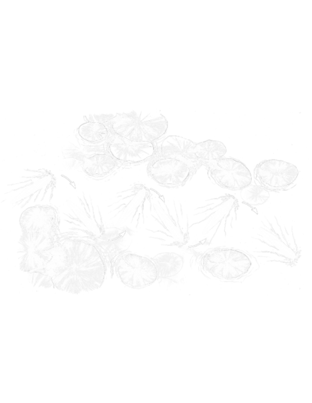 LIVETARJET LOURRE GLASS MINNOW WALKING BAIT