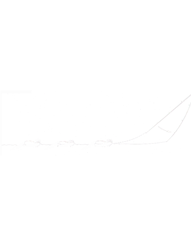 LIVETARJET SEÑUELO GLASS MINNOW WALKING BAIT