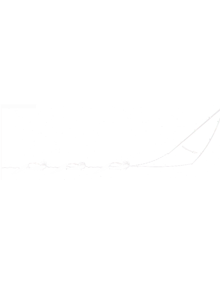 LIVETARJET GLASS MINNOW WALKING BAIT LURE