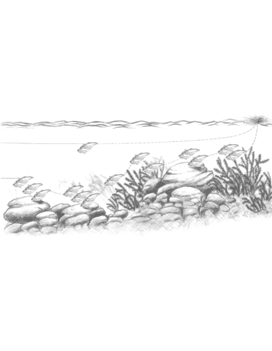 LIVETARJET ESQUER Magnum Shad Rattlebait