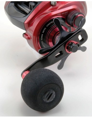 BANAX LEXIMA CAMION  REEL