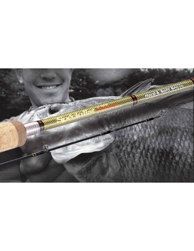 PEZON ET MICHEL CANYA CASTING SPECIALIST PRO-SERIES C 210 H