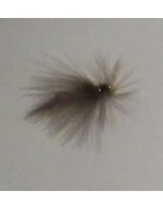 FISKE FLUGOR SORTIMENT II 2