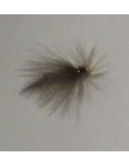 Fischerei der Fliegen SORTIMENT II