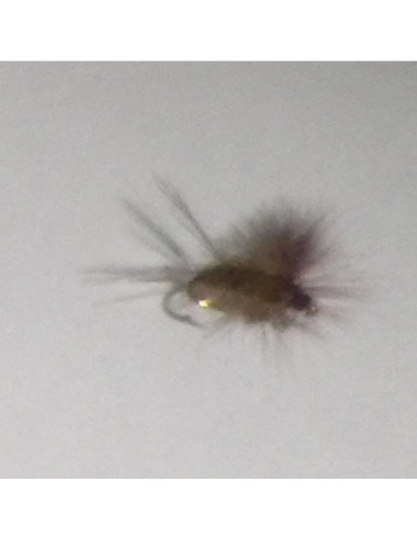 PESCA FLY ASSORTIMENTO II