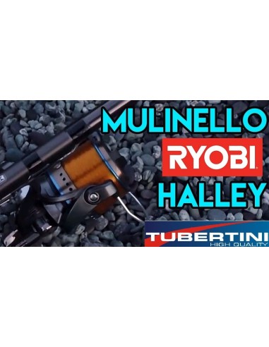 TUBERTINI CARRETO SURFCASTING HALLEY SP