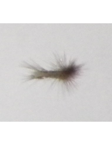 Fiskeri fluer SORTIMENT II