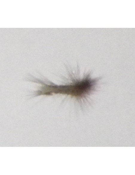 Pesca moscas variedade II