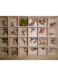 Mouches ASSORTIMENT II