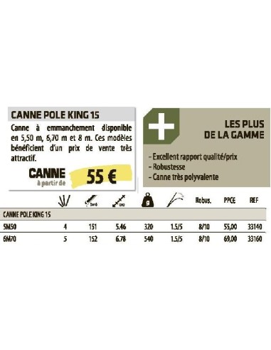 SENSAS CANNE COUP emmanchement  POLE KING 15