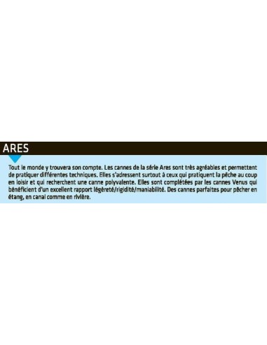 SENSAS POLE ROD ARES 100 - 6 m.