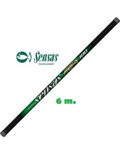 SENSAS POLE ROD ARES 100 - 6 m.