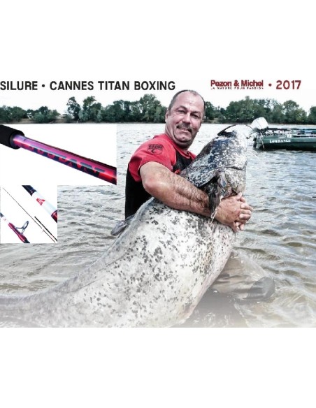 PEZON & MICHEL TITAN BOXING ROD S-200 RING