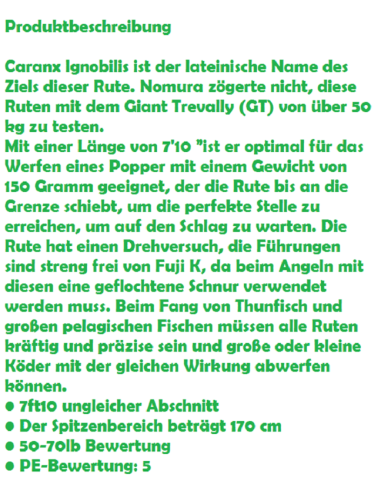 NOMURA POPPING  ROD SPECIAL SW 150 GR.