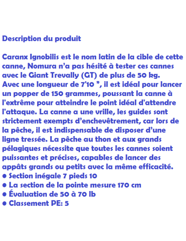 NOMURA POPPING  ROD SPECIAL SW 150 GR.