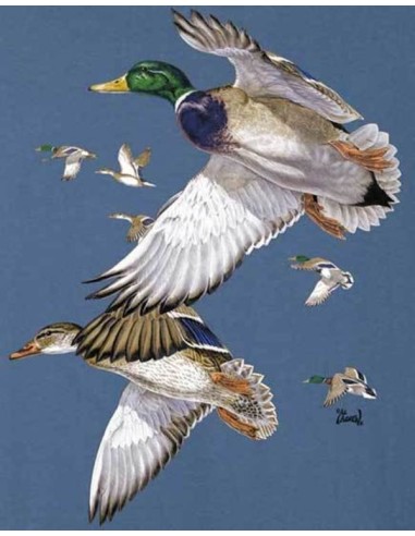 HUNTING T-SHIRT AL AGNEW MALLARDS LONG SLEEVE