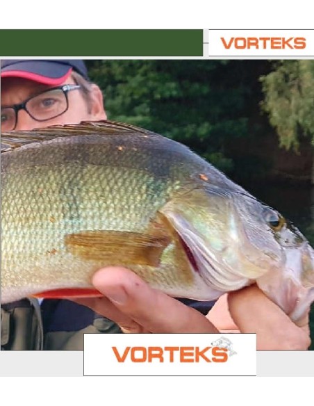 VORTEKS BAIX LLIGAT RIG