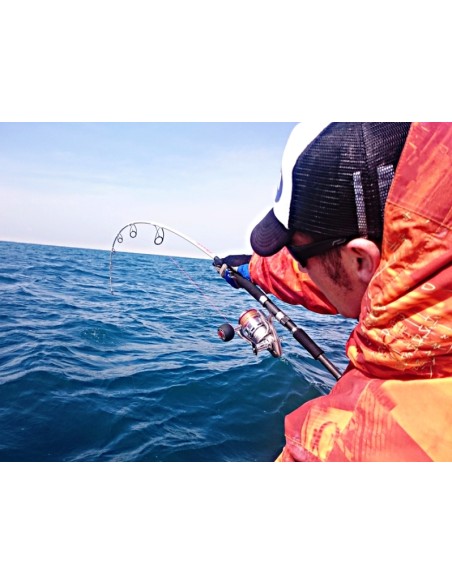 CANYA HART ABSOLUT GRAND TUNA 8' 0'' (2.44M)