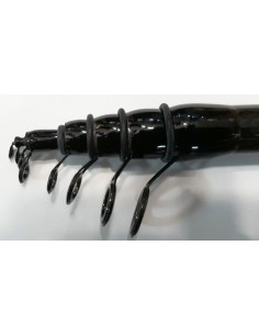 FISHING FERRARI PRINCESS CANNA BOLOGNESE 2