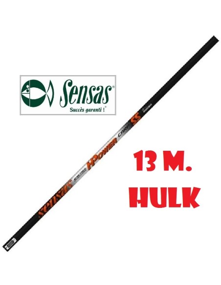 SENSAS CANNA ROUBASIENNE H_ POWER CARP 55