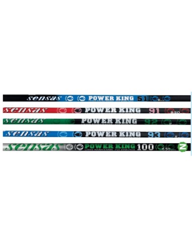 SENSAS POLE ROD POWER KING 100
