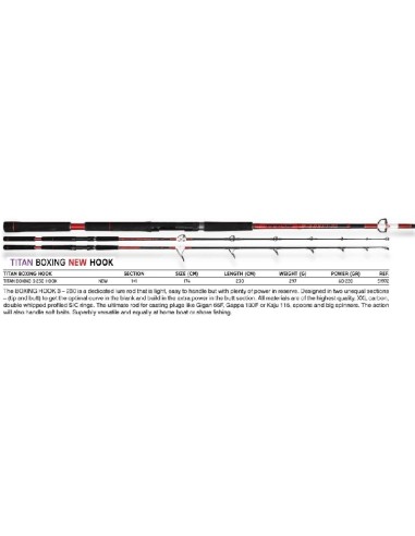 PEZON ET MICHEL ANGELRUTE TITAN BOXING S-230 HOOK