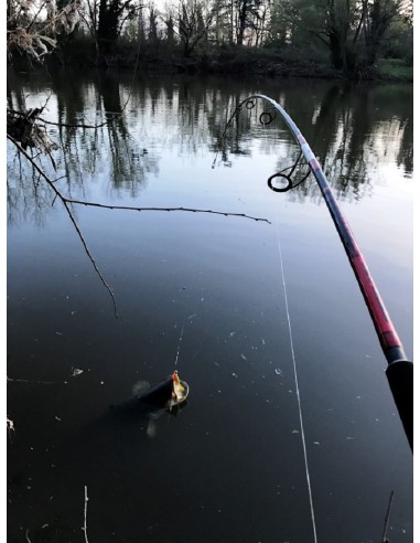 PEZON ET MICHEL ANGELRUTE TITAN BOXING S-230 HOOK