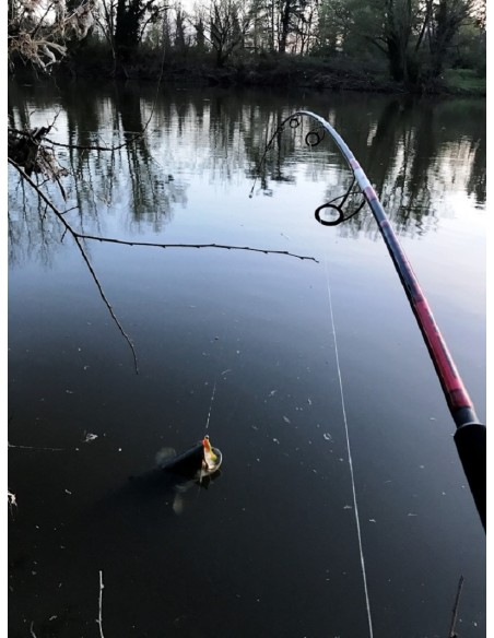 PEZON ET MICHEL TITAN BOXING ROD S-230 HOOK