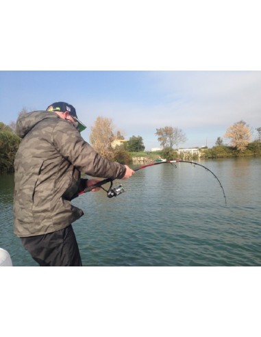 PEZON ET MICHEL ANGELRUTE TITAN BOXING S-230 HOOK