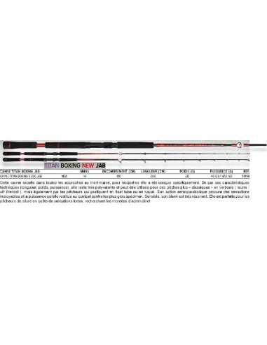 PEZON ET MICHEL CANNA TITAN BOXING S-200 JAB
