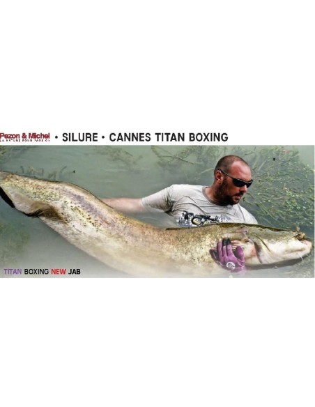 PEZON ET MICHEL CANNE TITAN BOXING S-200 JAB