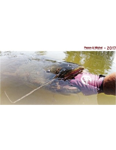 PEZON ET MICHEL TITAN BOXING ROD S-230 SHOOTING