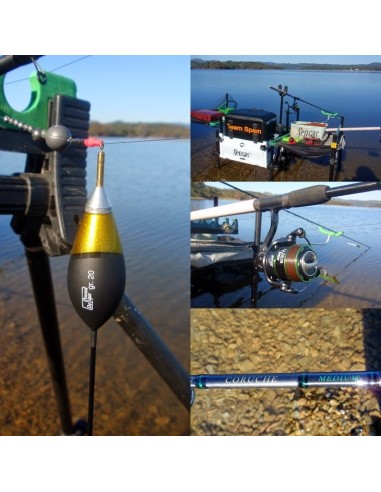 SENSAS FLOTADOR ANGLESA AJUSTABLE INVERTIT  BRISTOL