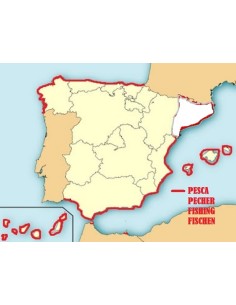 LICENCIA DE PESCA , MAR COSTA  5 AÑOS , ESPAÑA 2