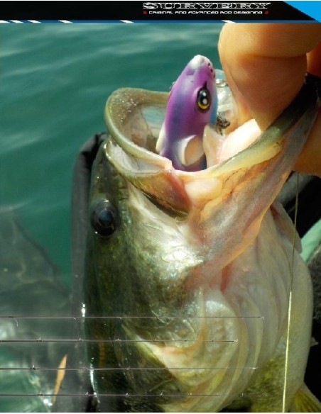 CANNE CASTING SPRO GAMAKATSU SURVERY B69MH  MULTI MISSION