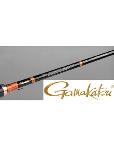 CAÑA CASTING SPRO GAMAKATSU SURVERY B70H TEXAS RUBBER JIG 2.13M