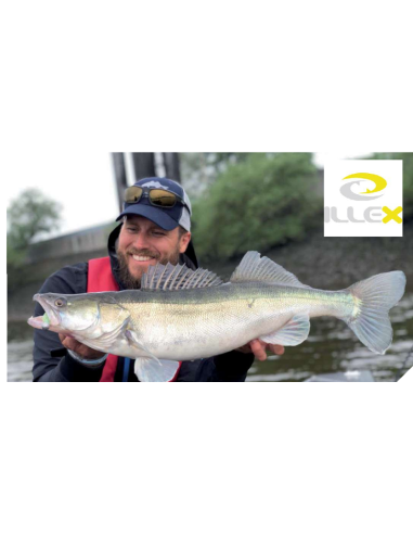 ILLEX CANNE CASTING NIGHT SHADOWS B 250 XXH THE WILD DOG