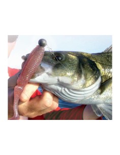 10 Packungen von Gummi Fisch, AUSWAHL TASTING